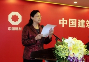 姚燕总经理在中国建材集团2012年工作会议上的讲话